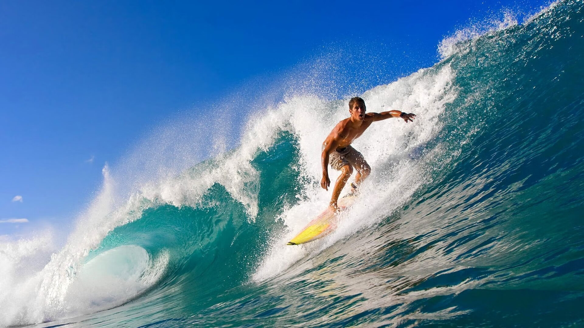 万乐天完美入水赢得喝彩,万乐游乐