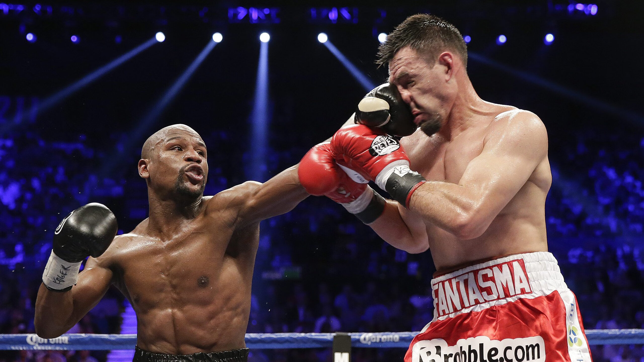 跑步爱好者盛会 城市马拉松热力开跑，城市马拉松热的现象分析